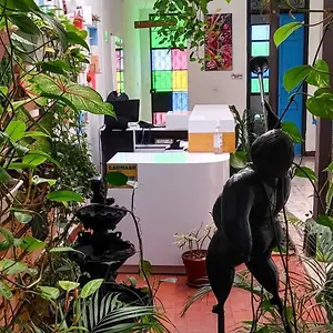 https://casa-blanca-agradable-y-acogedora.cali-hotels.com